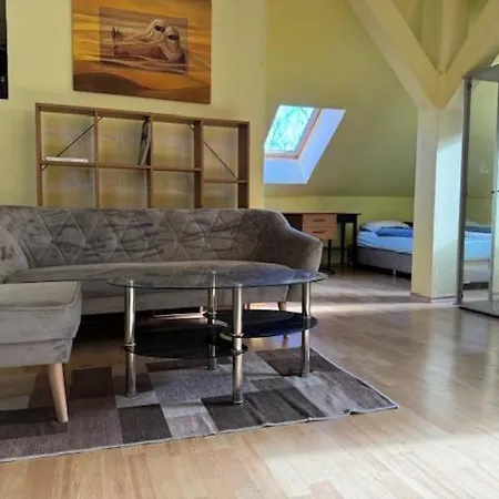 Center-big-apartman-110m2-tv-internet Apartment